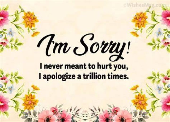 100+ Sorry Messages and Apology Quotes WishesMsg