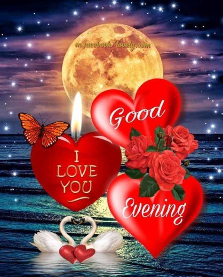 25+ Lovely Good Evening Images with Love for Lover Quote Says Good