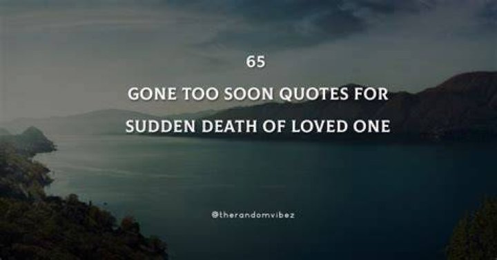62 Gone Too Soon Quotes For Sudden Death SESO OPEN