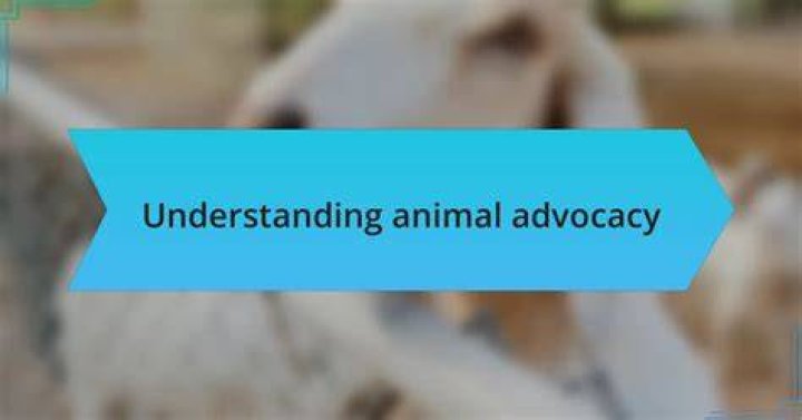 A Journey Of Love And Animal Advocacy