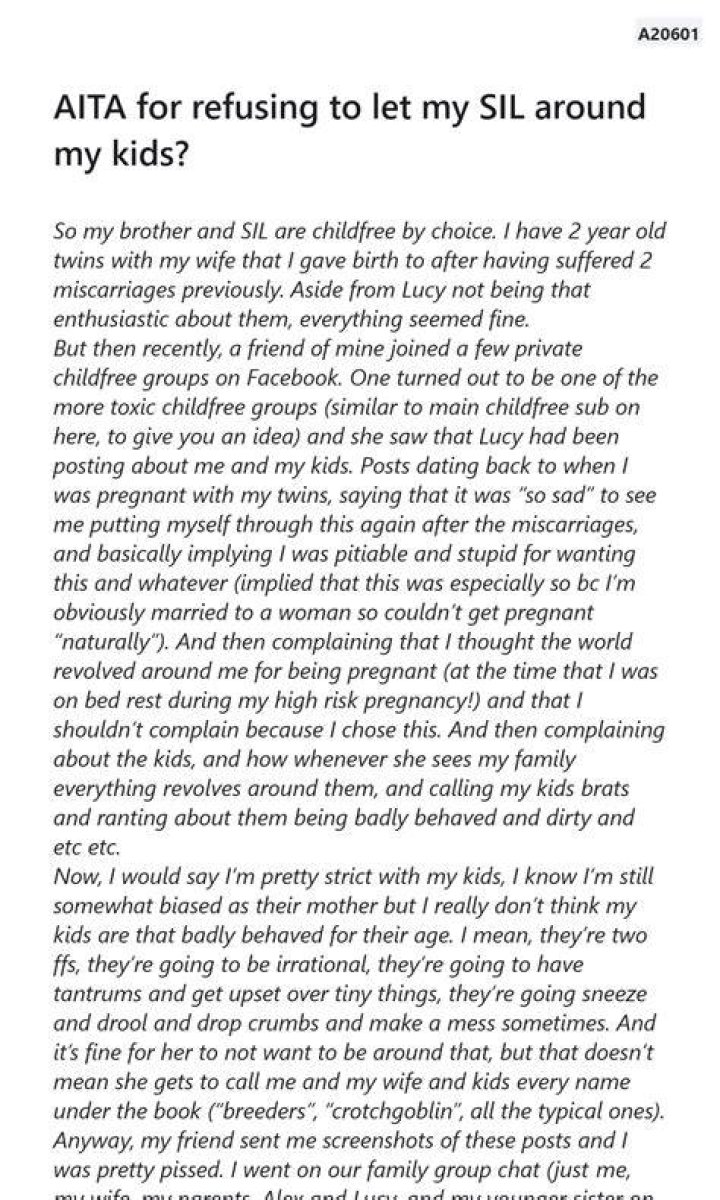 AITA for getting my SIL arrested on her wedding day? r/redditonwiki