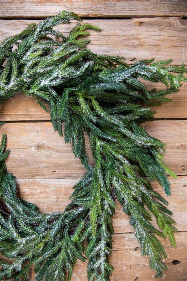 Buy 48&rdquo; Iced Garden Norfolk Pine Garland Online Decorator's Warehouse