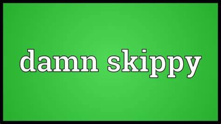 Damn skippy Meaning YouTube
