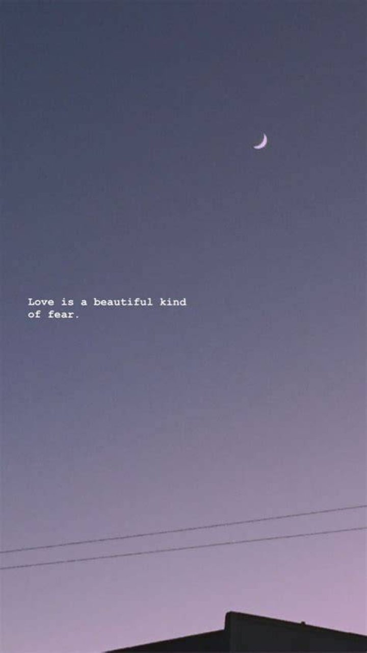 Deep Aesthetic Love Quotes Explored