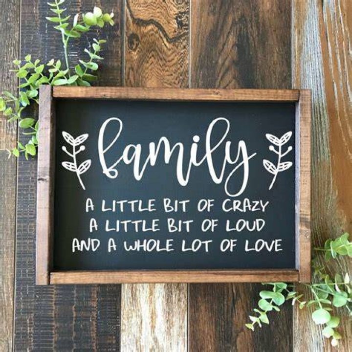 Funny Family Sign / A Little Bit of Crazy A Little Bit of Loud Etsy