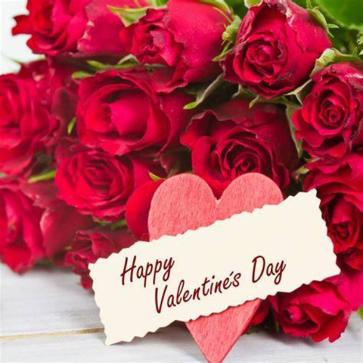 Happy Valentines Day flower roses vday quotes valentines day quotes