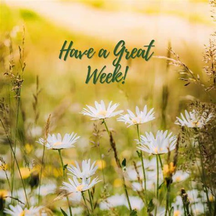 Have A Great Week Pictures, Photos, and Images for Facebook, Tumblr