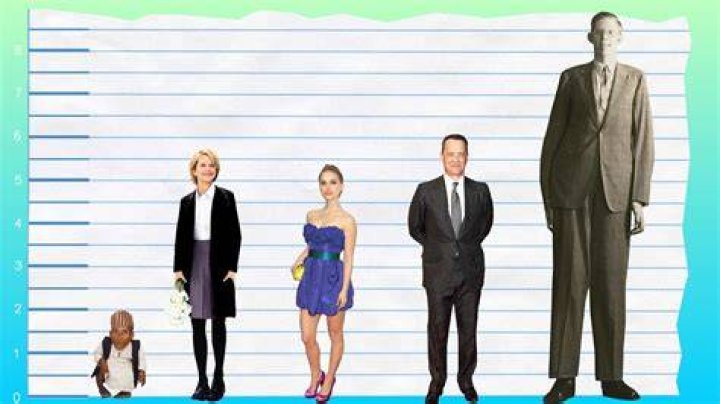 How Tall Is Meg Ryan? Height Comparison! YouTube
