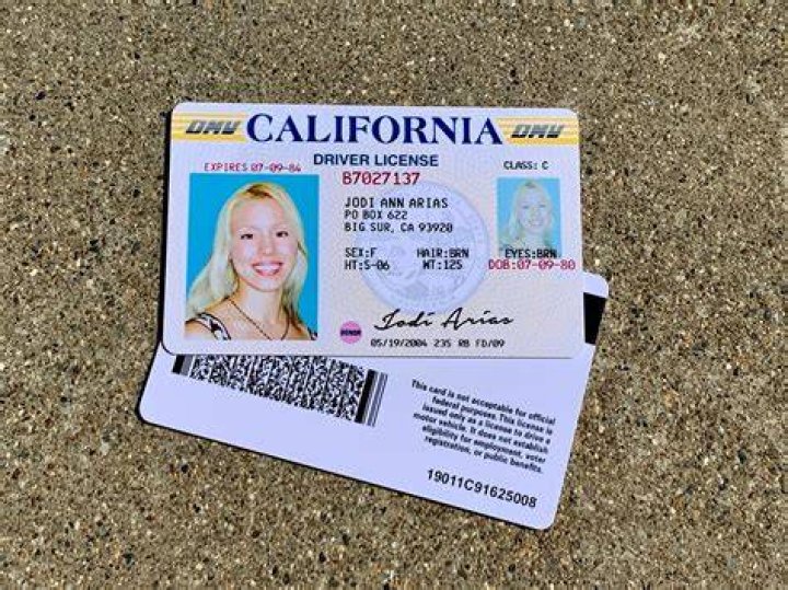 Jodi Arias Drivers License Prop hard Card Clear Etsy Australia