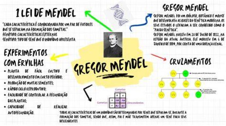 Mendel e a Trabalho de formatura