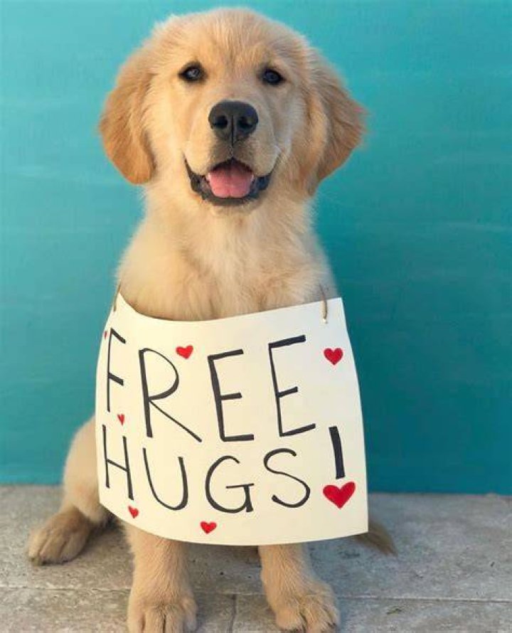 Pin on Puppy Love