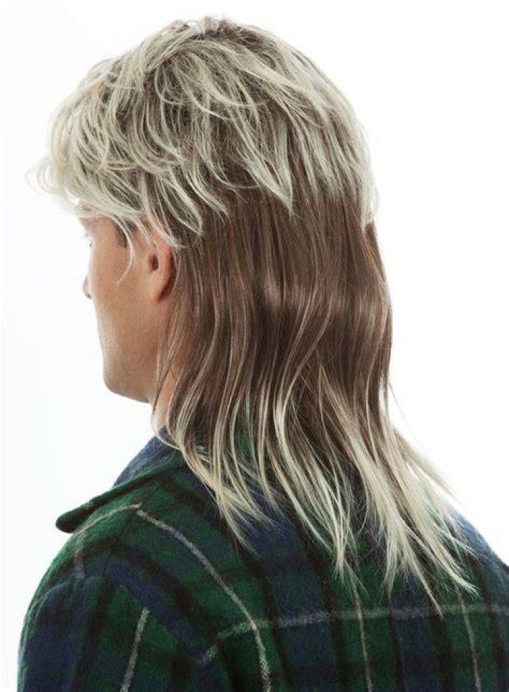 Redneck Mullet Wig