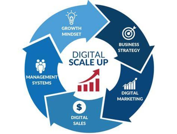 Scale Your Business With White Label Facebook Ad Management
