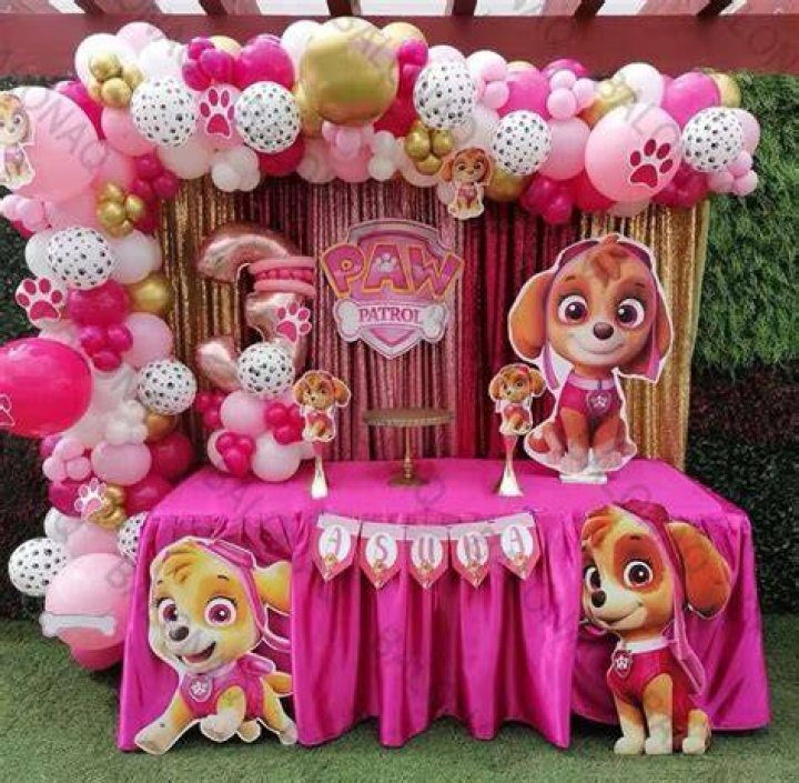 Skye Paw Patrol Party, Paw Patrol Rocky, Zuma Paw Patrol, Ryder Paw