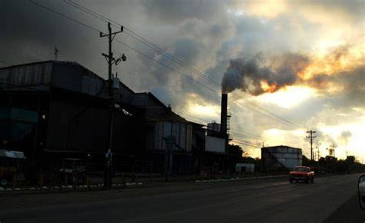 SUZUKI Avoiding climate chaos means zeroing in on emissions iNFOnews