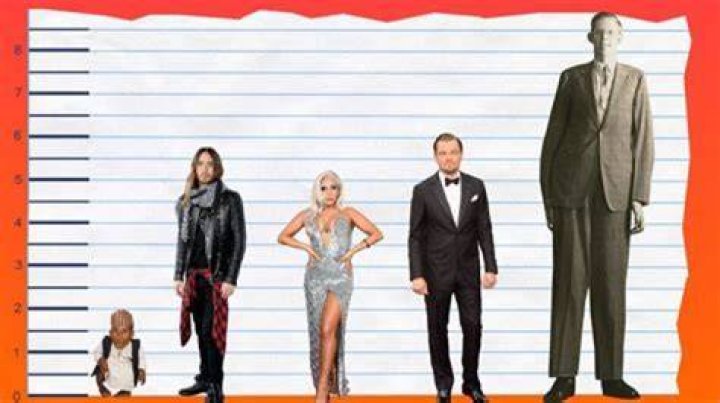 Unveiling Alison Brie's Height: Surprising Revelations And Insights