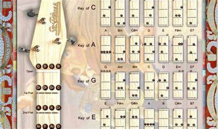 Unveiling The Enchanting Realm Of Kim Kaiko: Discoveries And Insights Await