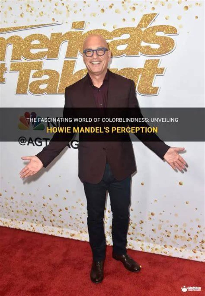 Unveiling The World Of Howie Mandel's Brother