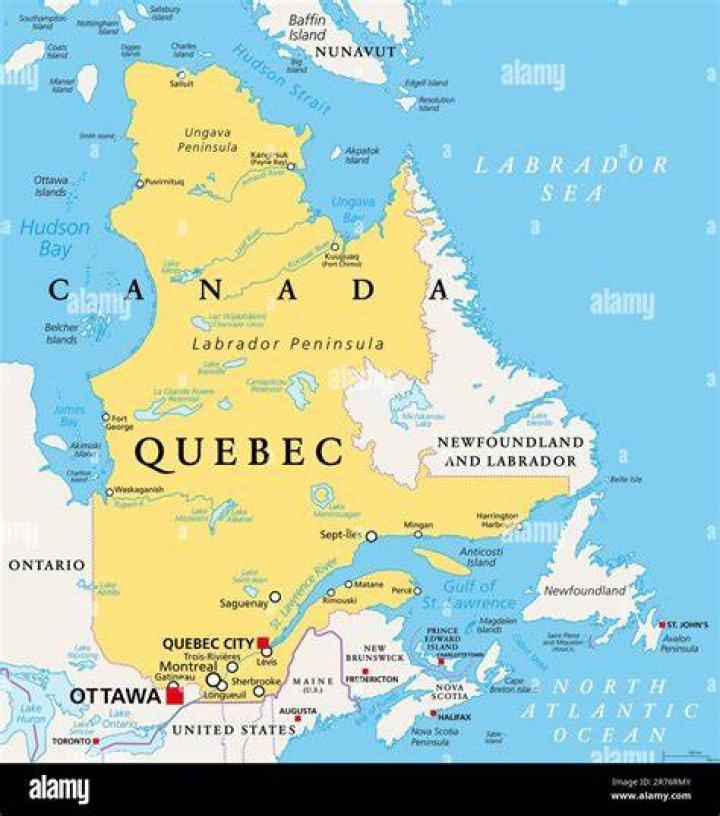 Vanessa Barron Montreal, Quebec, Canada Professional Profile LinkedIn